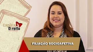 Explica Direito Filiação Socioafetiva  2019 [upl. by Adnahsar]