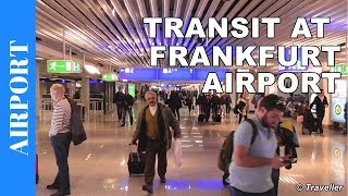 TRANSIT WALK AT FRANKFURT Airport FRA Terminal 1  Connection Flight Transfer Arriving amp Departing [upl. by Engedi377]